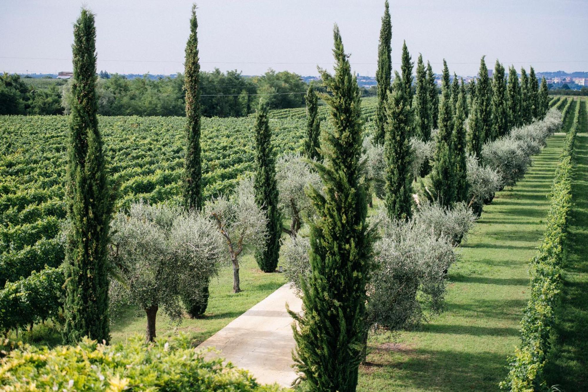 Villa Dimora Buglioni Wine Relais San Pietro in Cariano Exterior foto